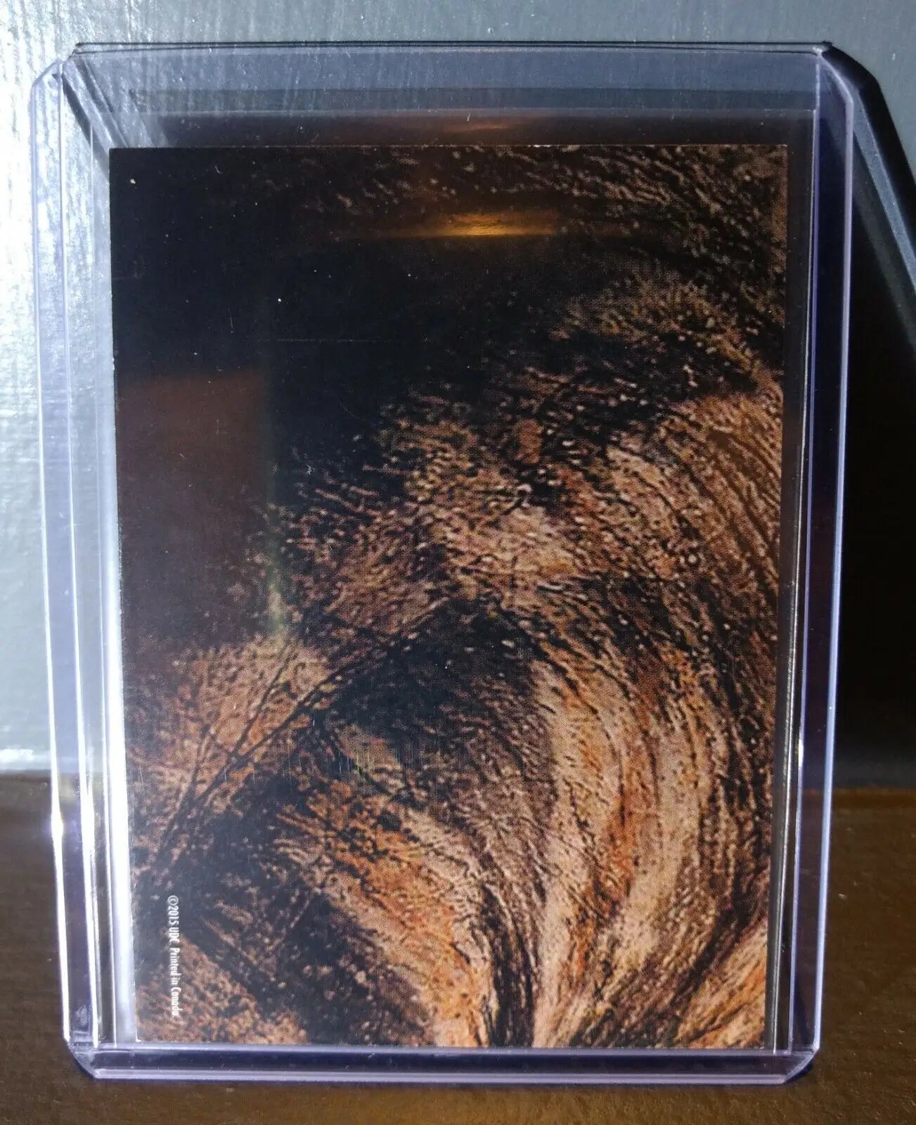 2015 Upper Deck Dinosaurs Brachiosaurus #S-9 Trading Sticker Card - Non-Sports Card Single