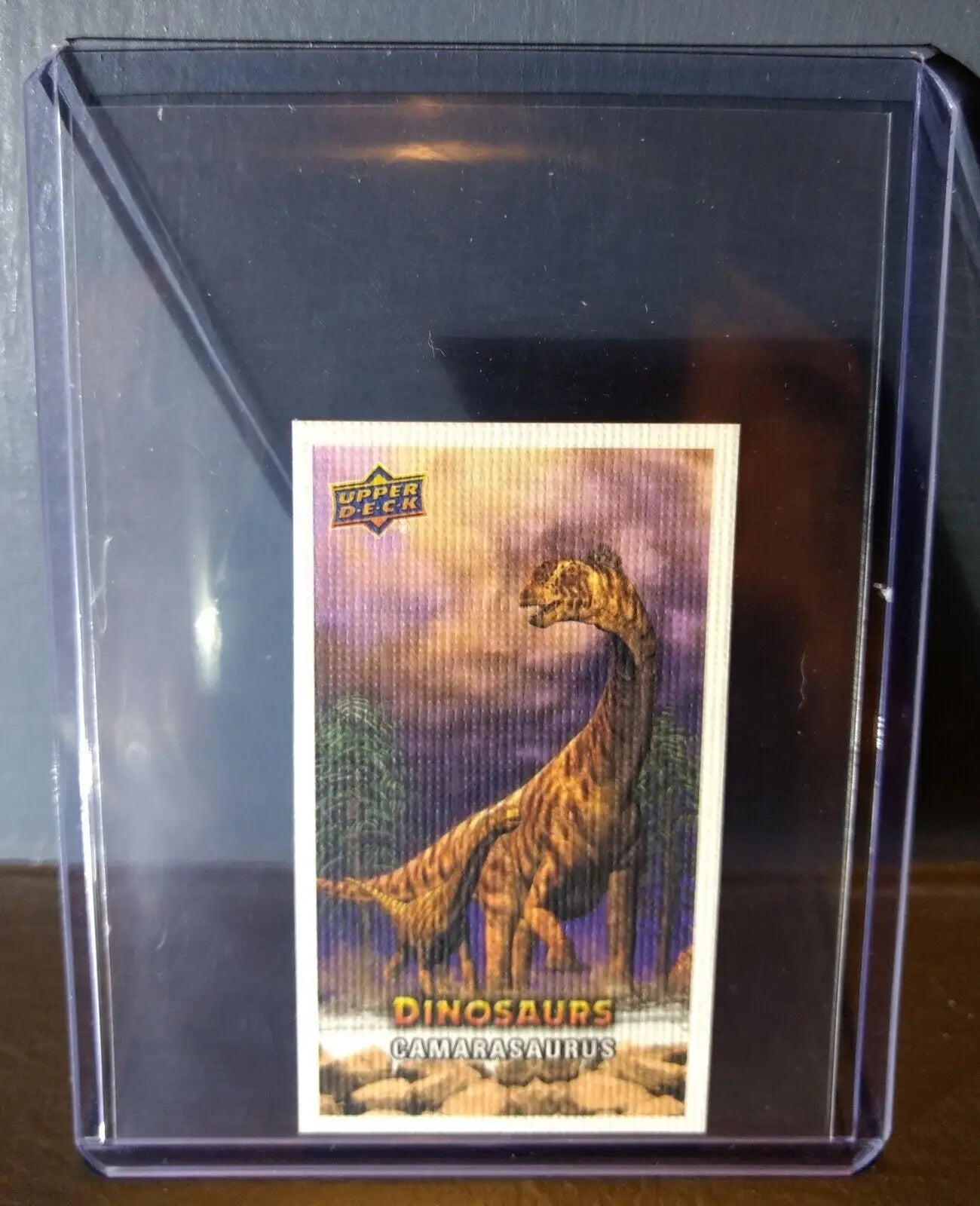 2015 Upper Deck Dinosaurs Canvas Mini Camarasaurus #71 Trading Card - Non-Sports Card Single