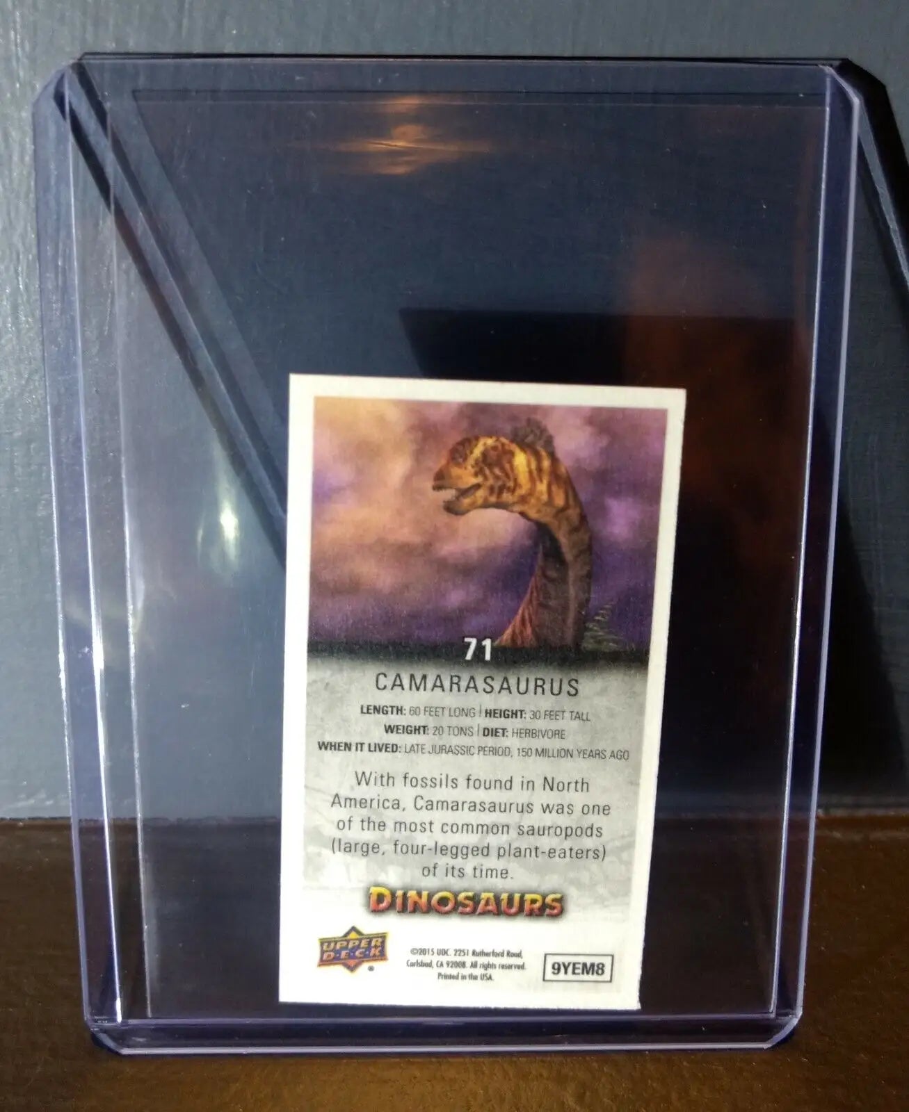 2015 Upper Deck Dinosaurs Canvas Mini Camarasaurus #71 Trading Card - Non-Sports Card Single
