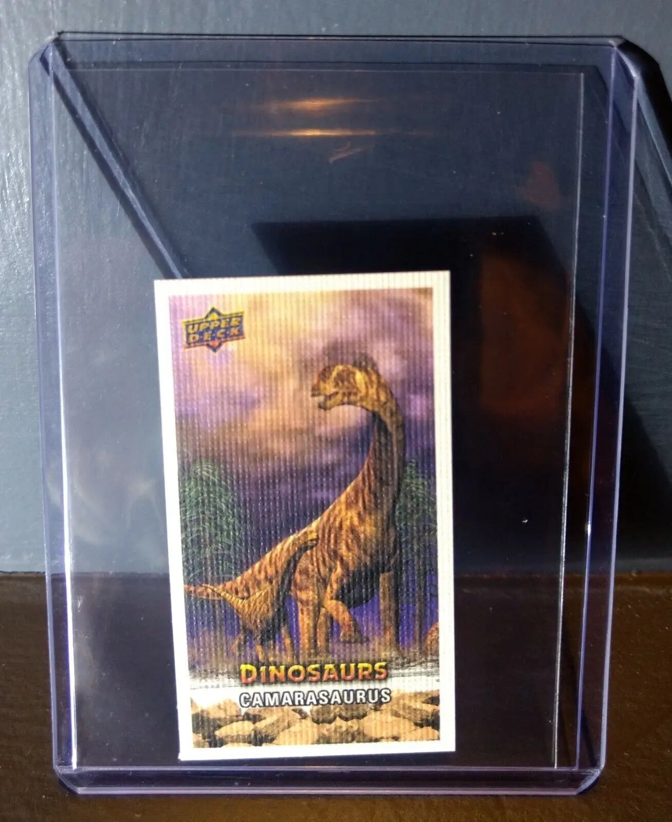 2015 Upper Deck Dinosaurs Canvas Mini Camarasaurus #71 Trading Card - Non-Sports Card Single