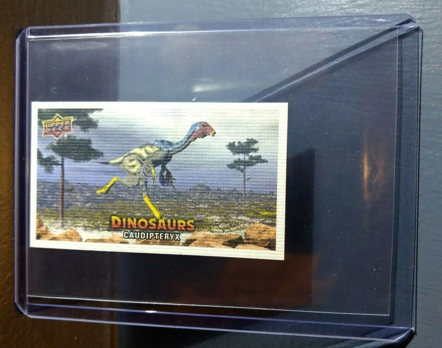 2015 Upper Deck Dinosaurs Canvas Mini Caudipteryx #43 Trading Card - Other