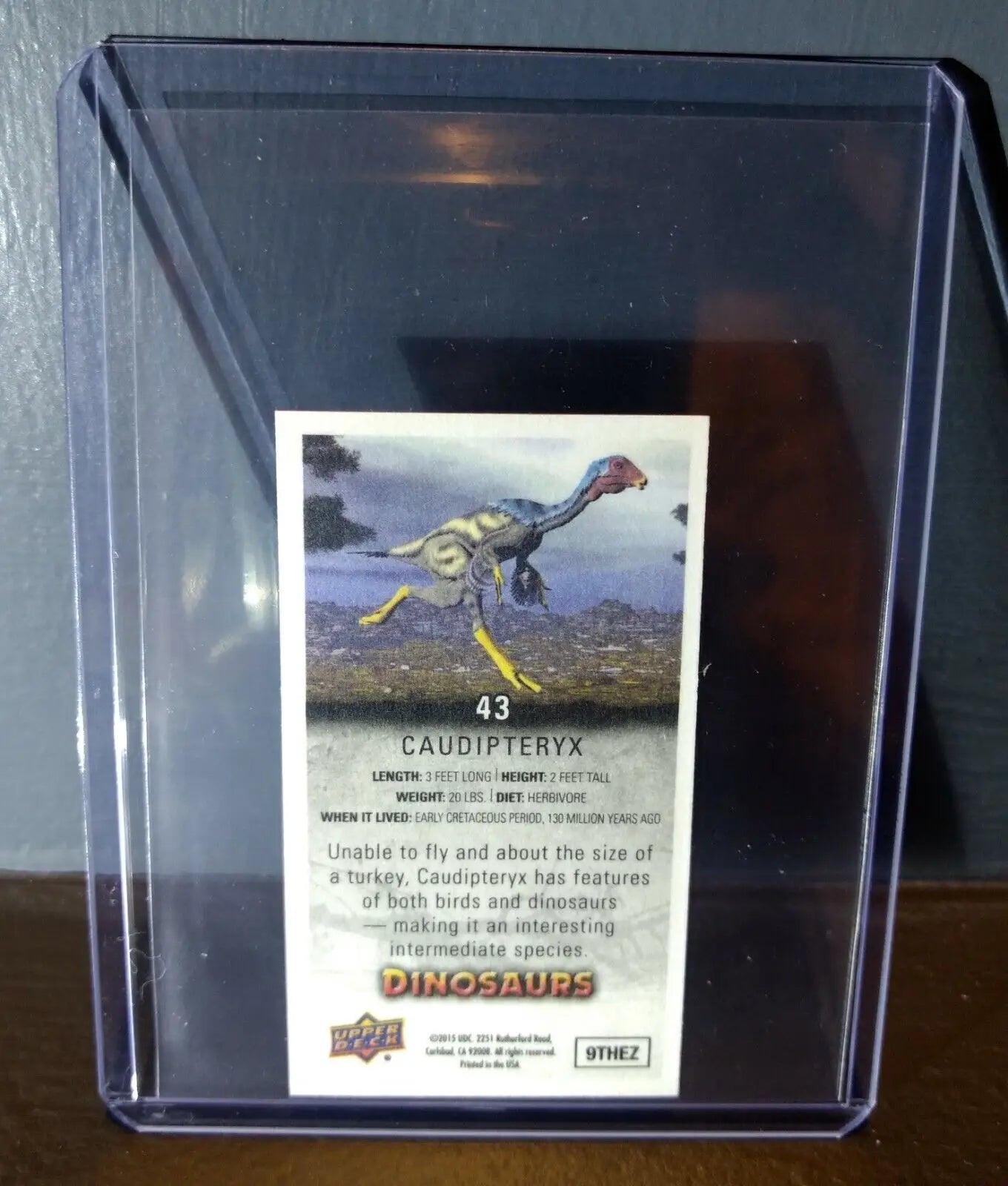 2015 Upper Deck Dinosaurs Canvas Mini Caudipteryx #43 Trading Card - Other