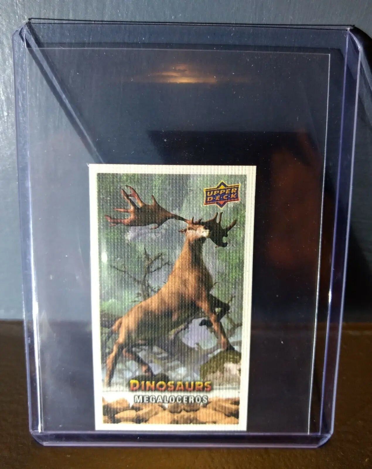 2015 Upper Deck Dinosaurs Canvas Mini Megaloceros #141 Trading Card - Other