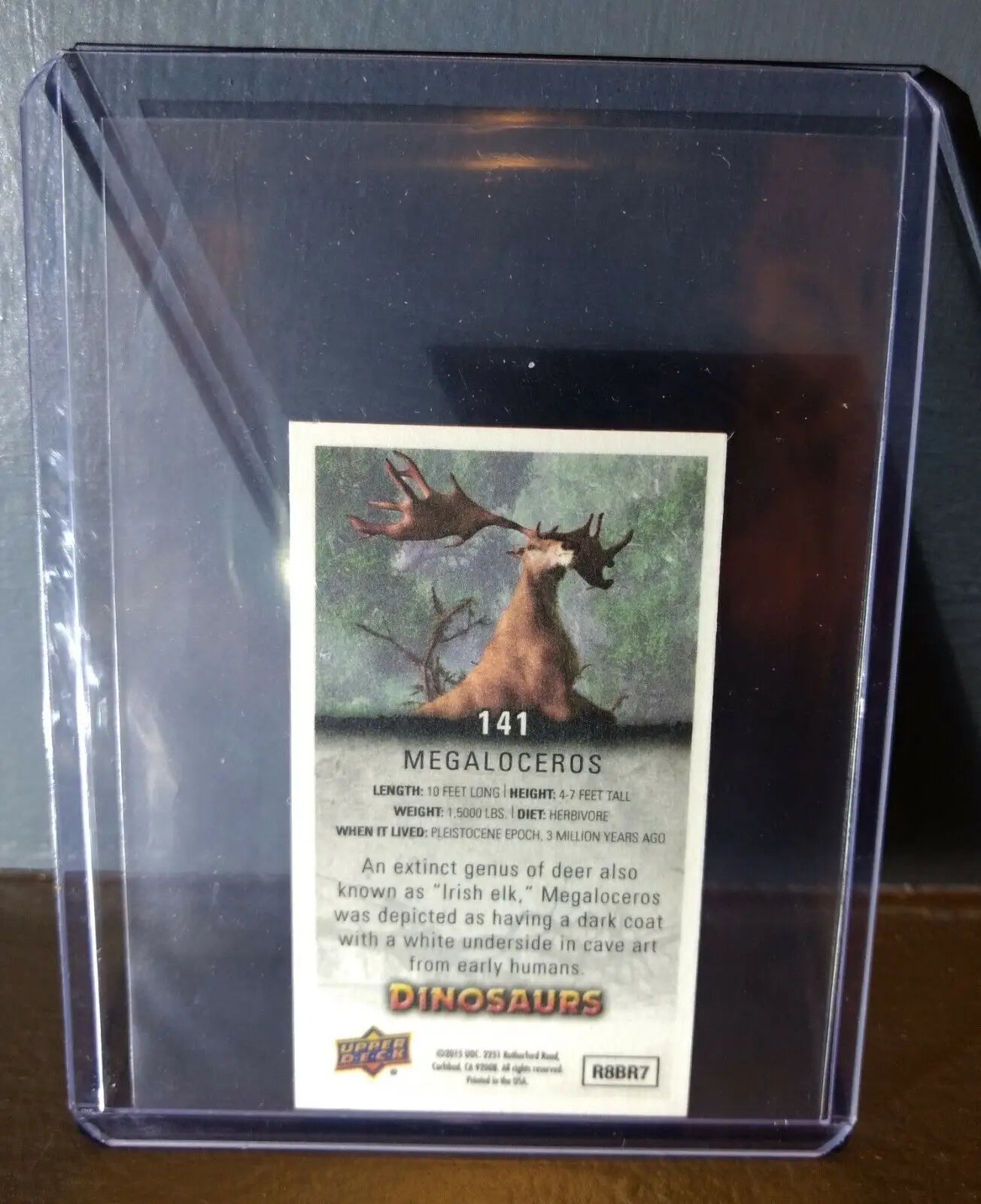 2015 Upper Deck Dinosaurs Canvas Mini Megaloceros #141 Trading Card - Other