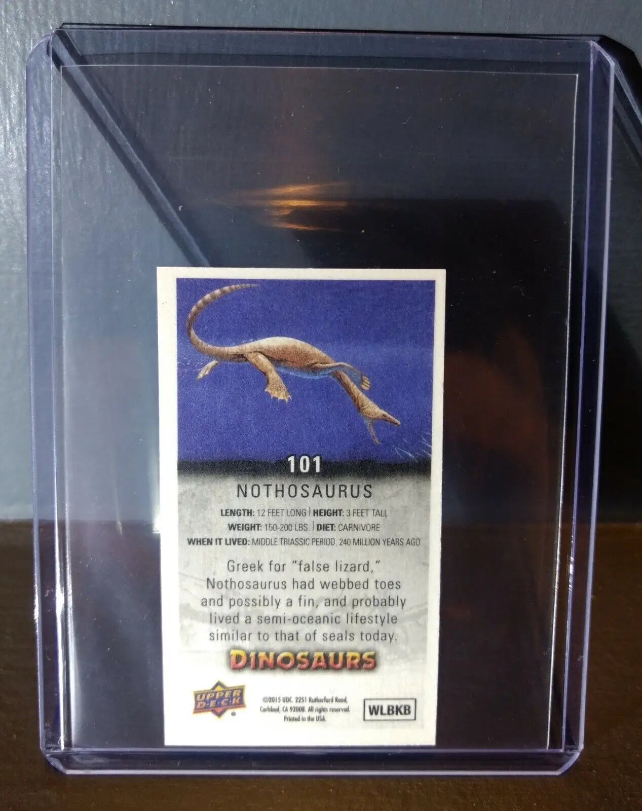 2015 Upper Deck Dinosaurs Canvas Mini Nothosaurus #101 Trading Card