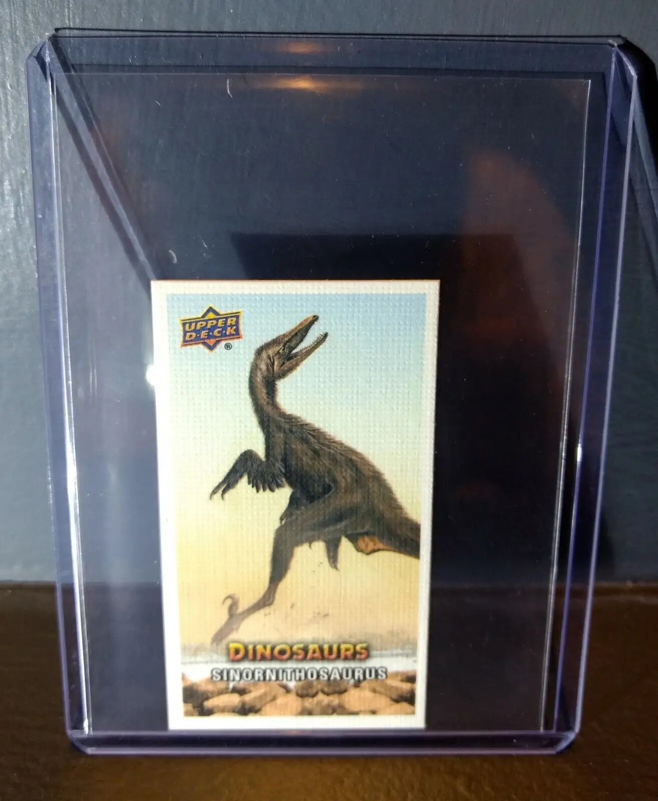 2015 Upper Deck Dinosaurs Canvas Mini Sinornithosaurus #79 Trading Card - Non-Sports Card Single