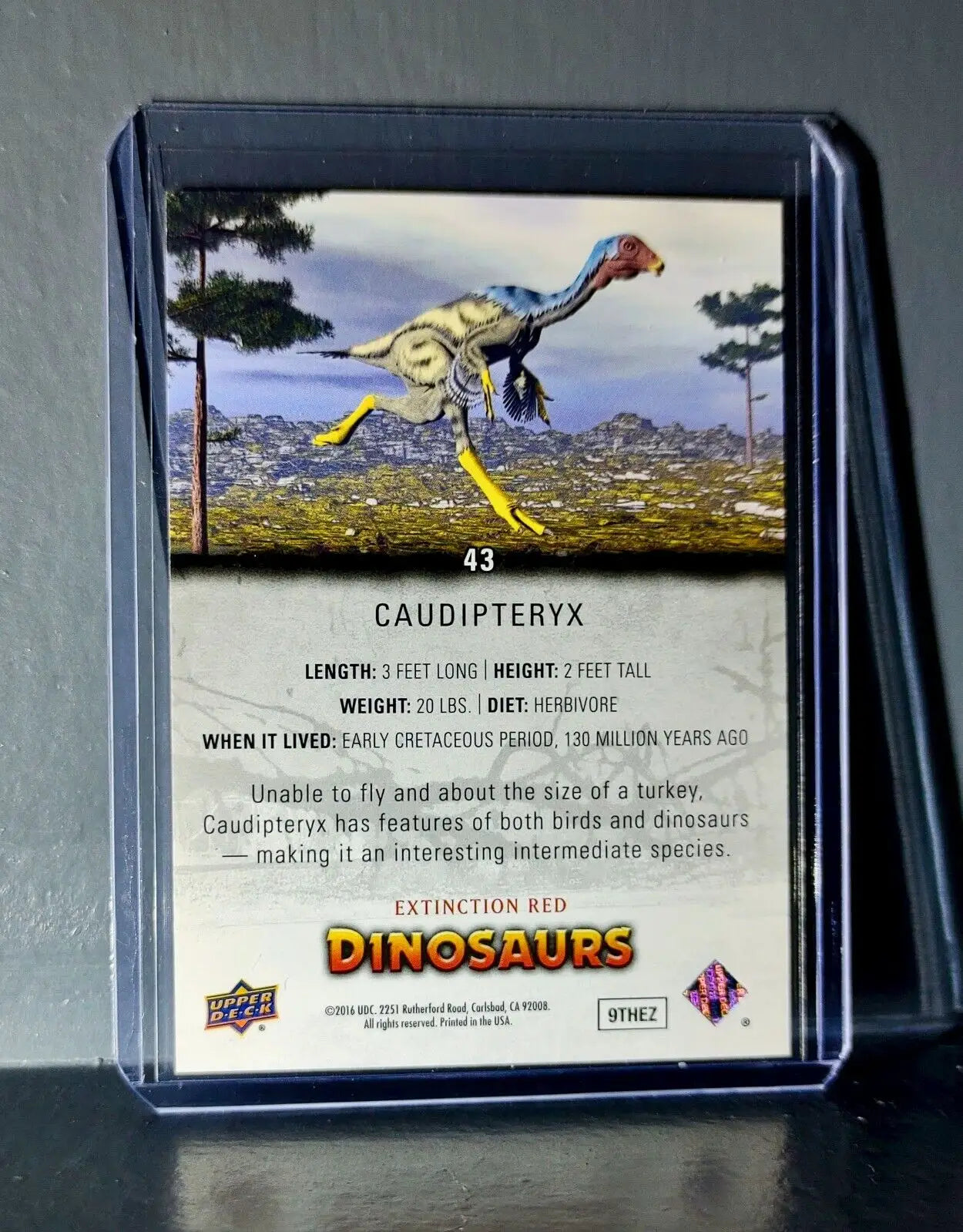 2015 Upper Deck Dinosaurs Caudipteryx Extinction Red Parallel #43 Card - Non-Sports Card Single