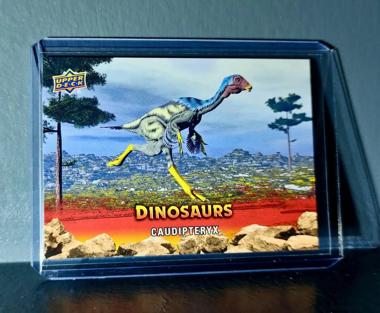 2015 Upper Deck Dinosaurs Caudipteryx Extinction Red Parallel #43 Card - Non-Sports Card Single