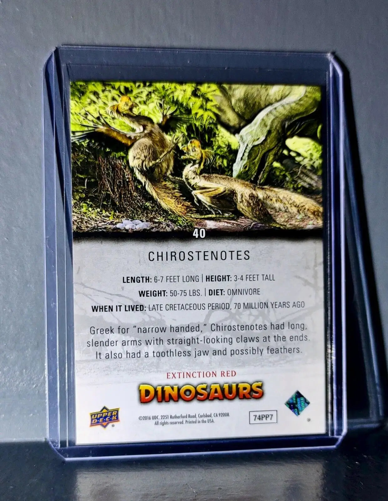 2015 Upper Deck Dinosaurs Chirostenotes Extinction Red Parallel #40 Card - Non-Sports Card Single
