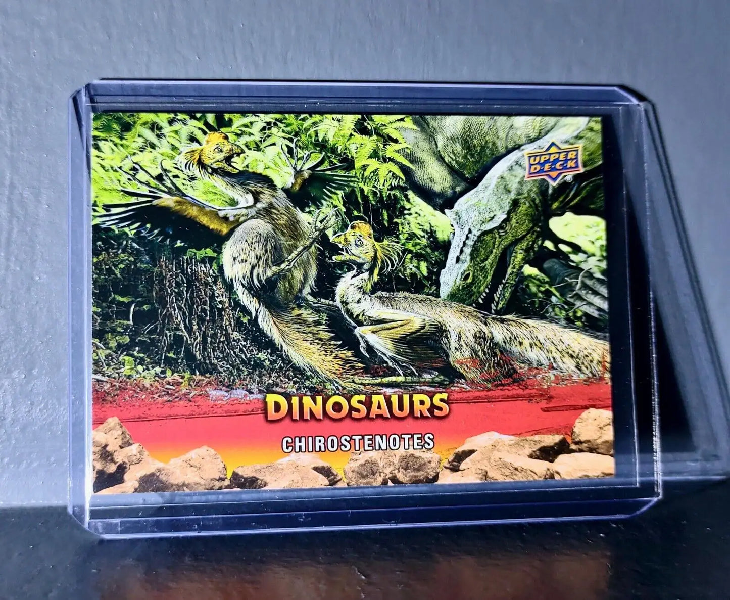 2015 Upper Deck Dinosaurs Chirostenotes Extinction Red Parallel #40 Card - Non-Sports Card Single