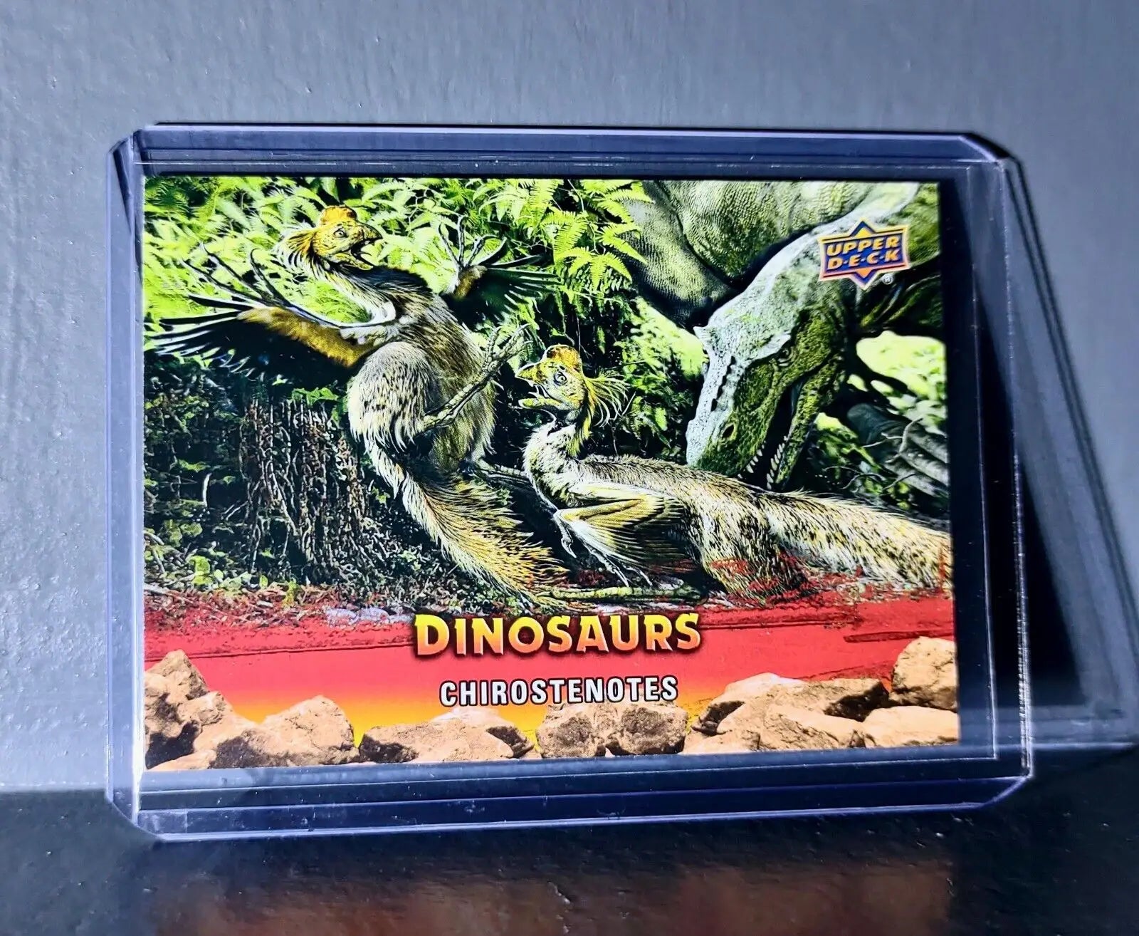 2015 Upper Deck Dinosaurs Chirostenotes Extinction Red Parallel #40 Card - Non-Sports Card Single
