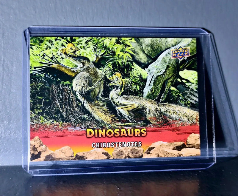 2015 Upper Deck Dinosaurs Chirostenotes Extinction Red Parallel #40 Card - Non-Sports Card Single