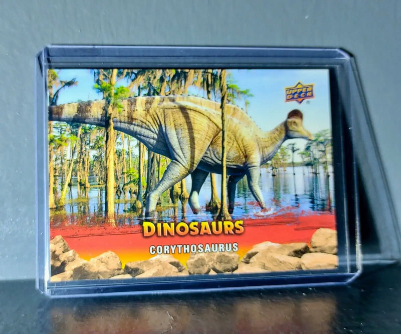 2015 Upper Deck Dinosaurs Corythosaurus Extinction Red Parallel #26 Card - Non-Sports Card Single