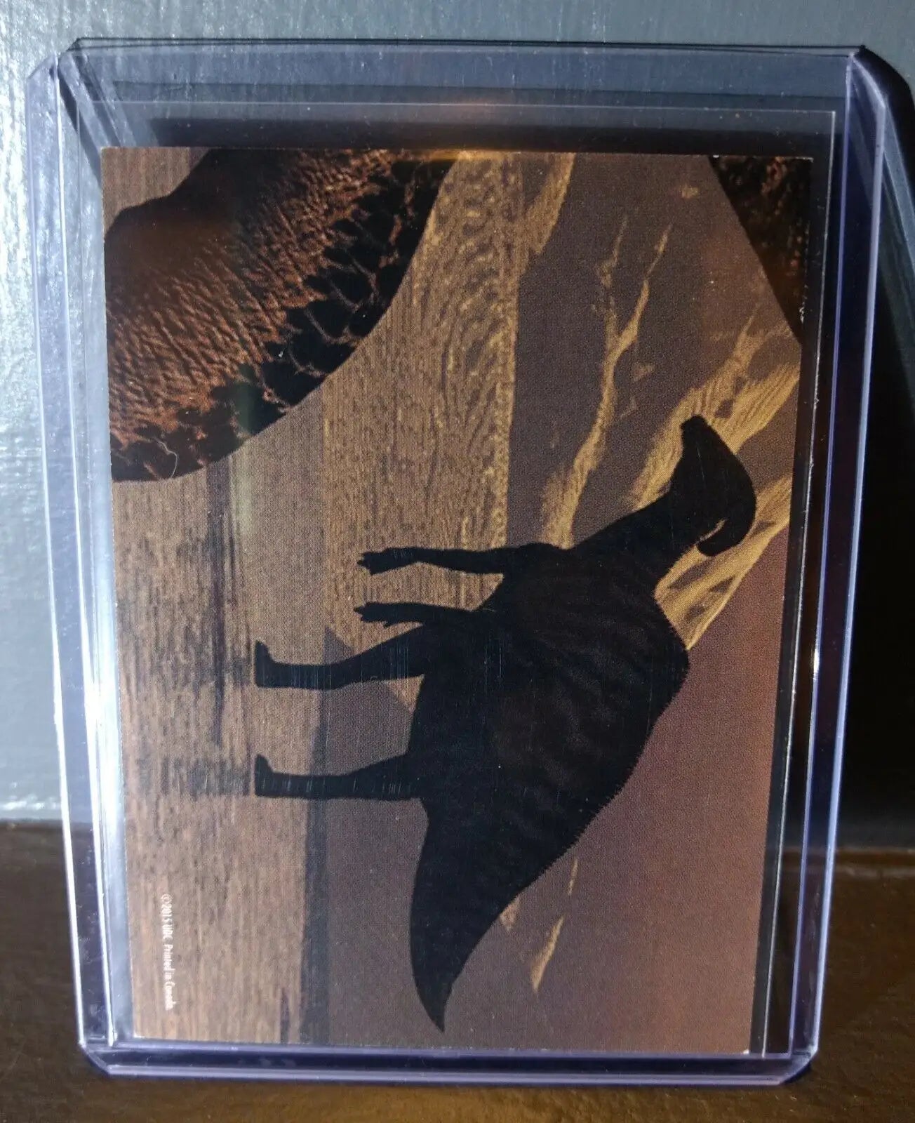 2015 Upper Deck Dinosaurs Dimetrodon #S-22 Trading Sticker Card - Non-Sports Card Single