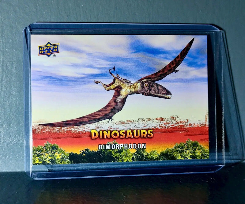 2015 Upper Deck Dinosaurs Dimorphodon Extinction Red Parallel #46 Card - Non-Sports Card Single