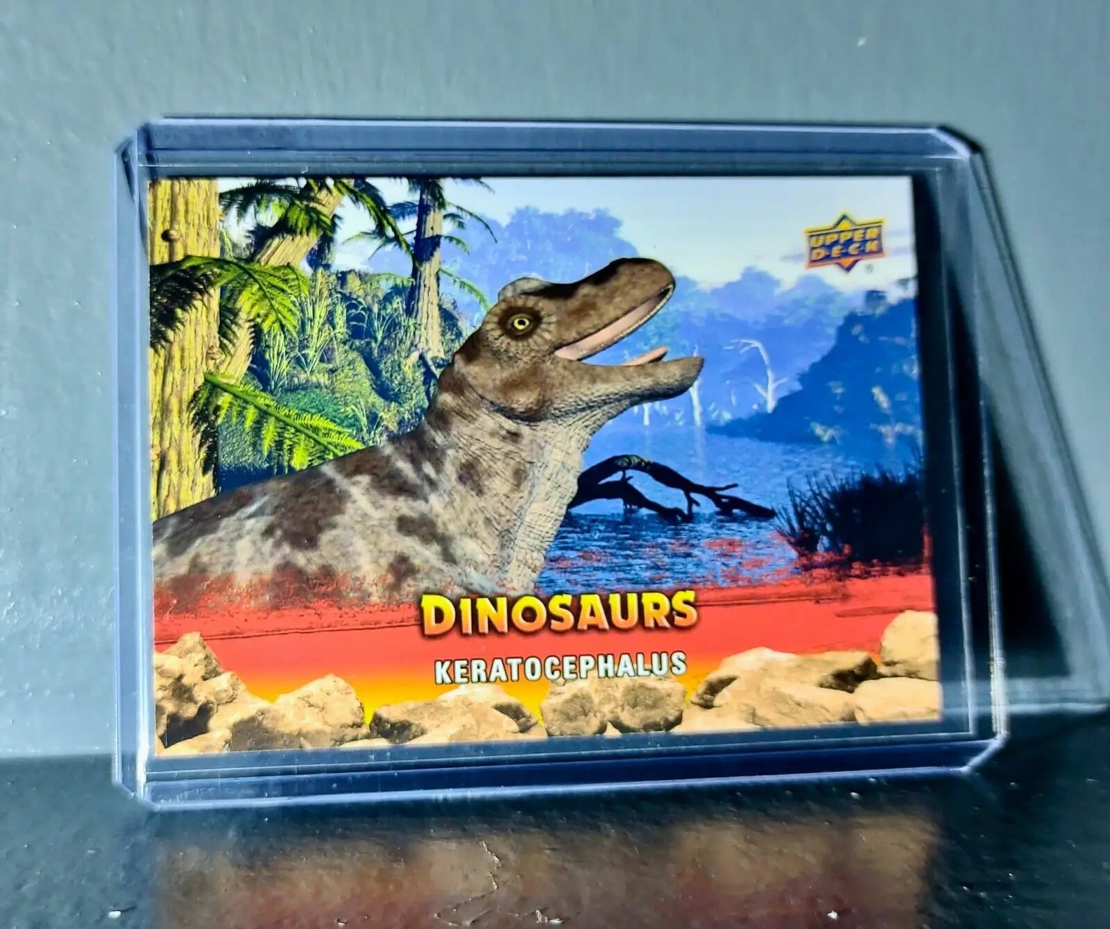 2015 Upper Deck Dinosaurs Keratocephalus Extinction Red Parallel #23 Card - Non-Sports Card Single