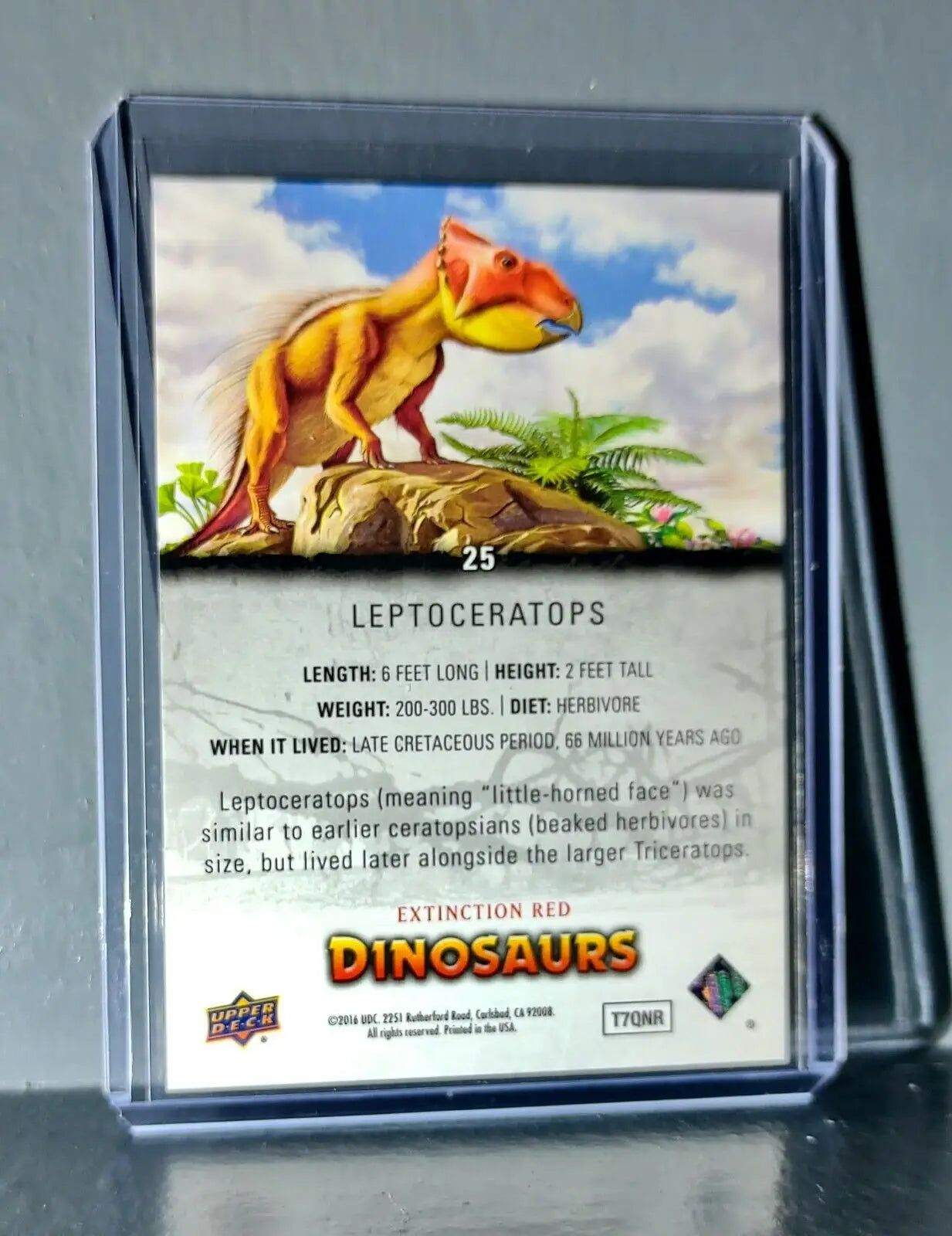 2015 Upper Deck Dinosaurs Leptoceratops Extinction Red Parallel #25 Card - Non-Sports Card Single