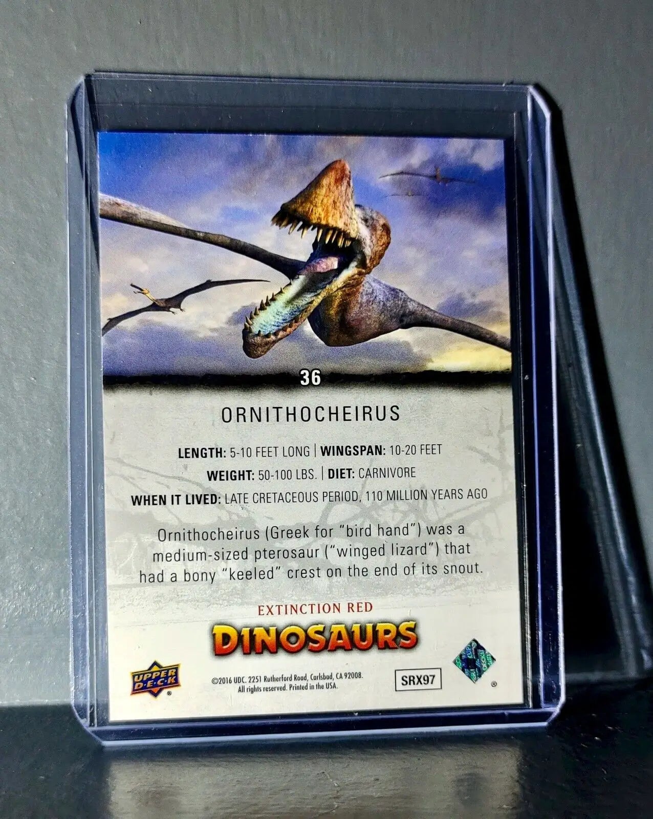 2015 Upper Deck Dinosaurs Ornithocheirus Extinction Red Parallel #36 Card - Non-Sports Card Single