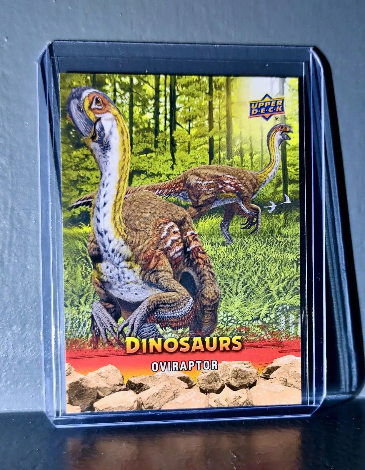 2015 Upper Deck Dinosaurs Oviraptor Extinction Red Parallel #39 Card - Non-Sports Card Single