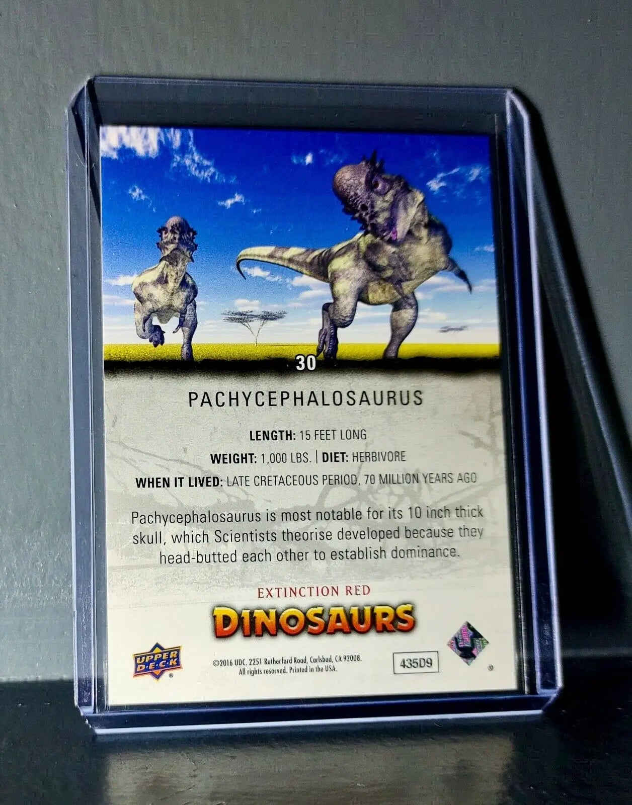 2015 Upper Deck Dinosaurs Pachycephalosaurus Extinction Red Parallel #30 Card - Non-Sports Card Single