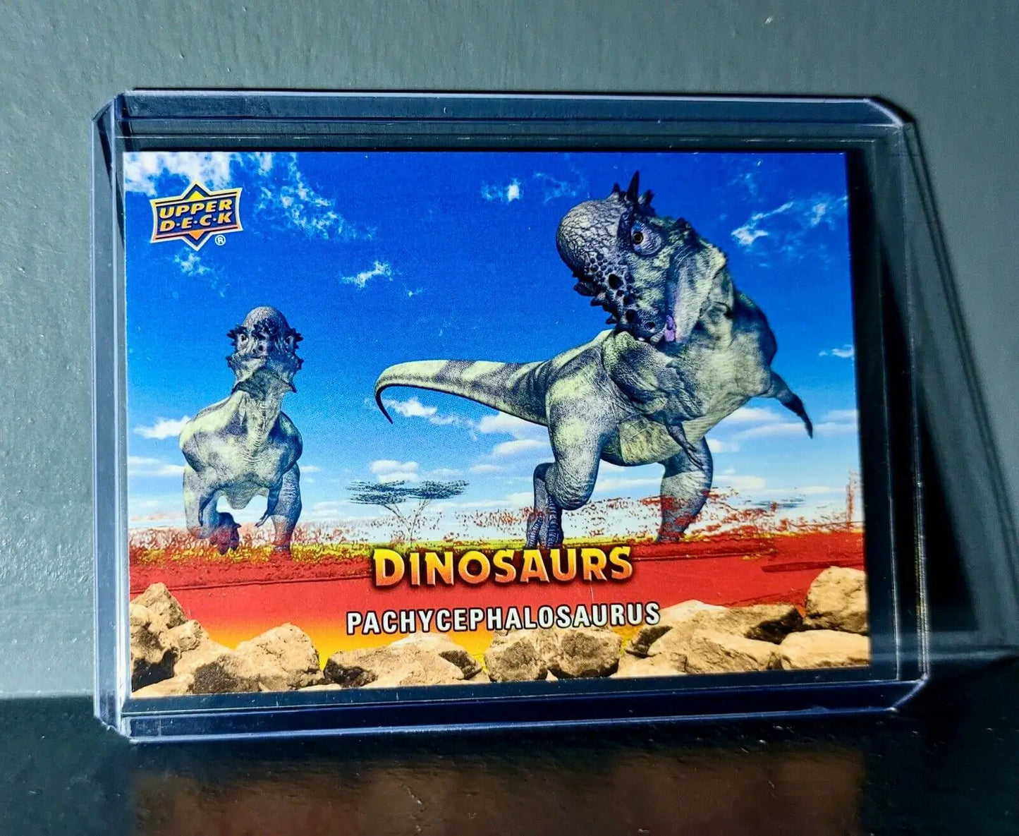 2015 Upper Deck Dinosaurs Pachycephalosaurus Extinction Red Parallel #30 Card - Non-Sports Card Single
