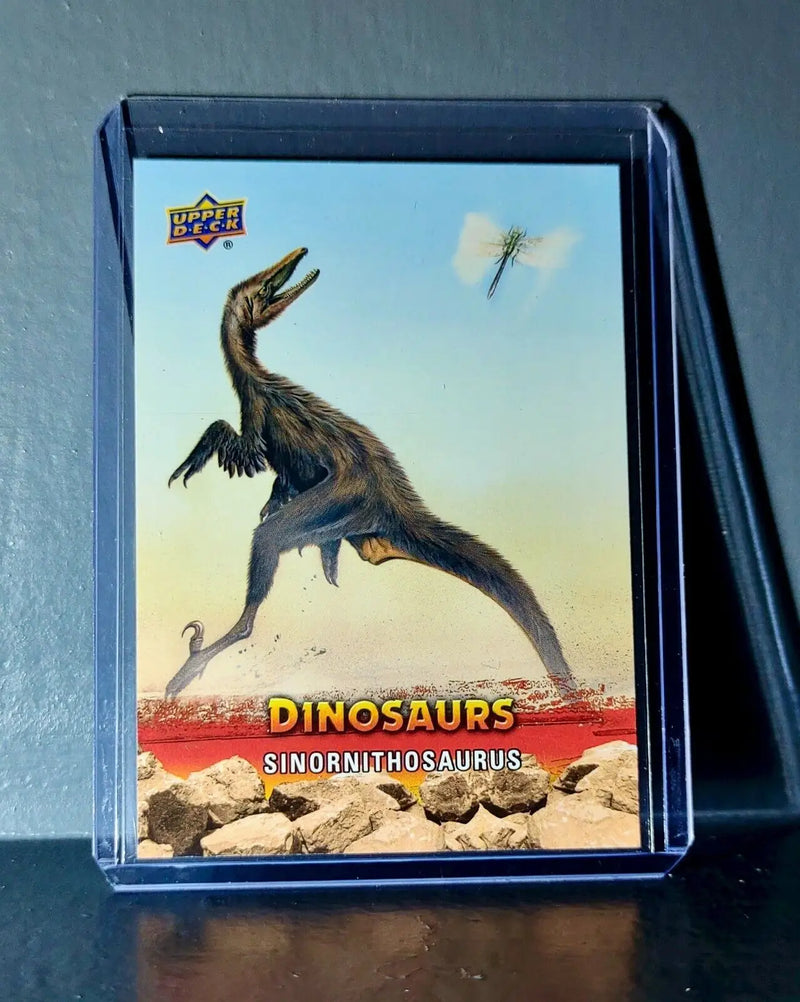 2015 Upper Deck Dinosaurs Sinornithosaurus Extinction Red Parallel #79 Card - Non-Sports Card Single