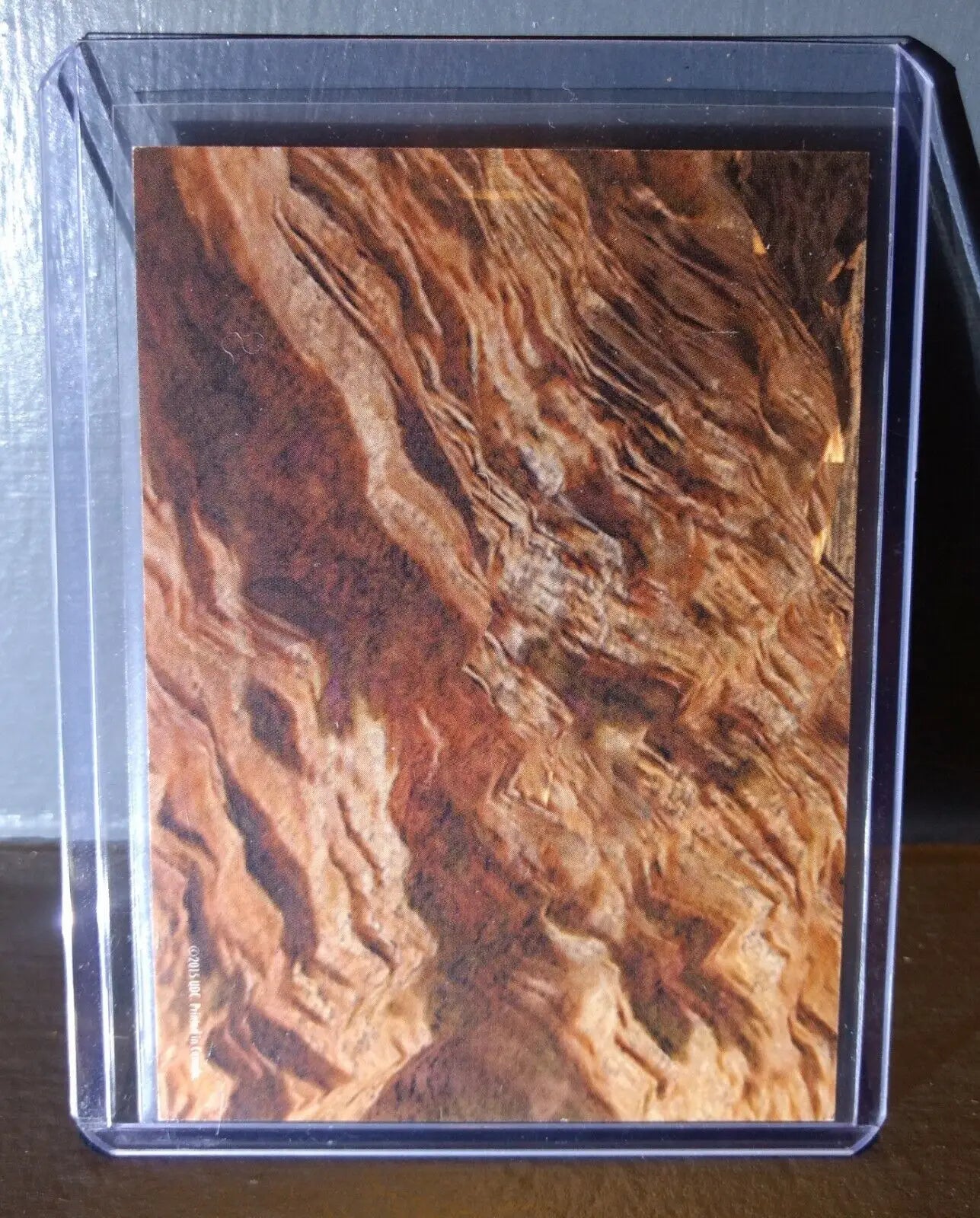 2015 Upper Deck Dinosaurs Smilodon #S-30 Trading Sticker Card - Other