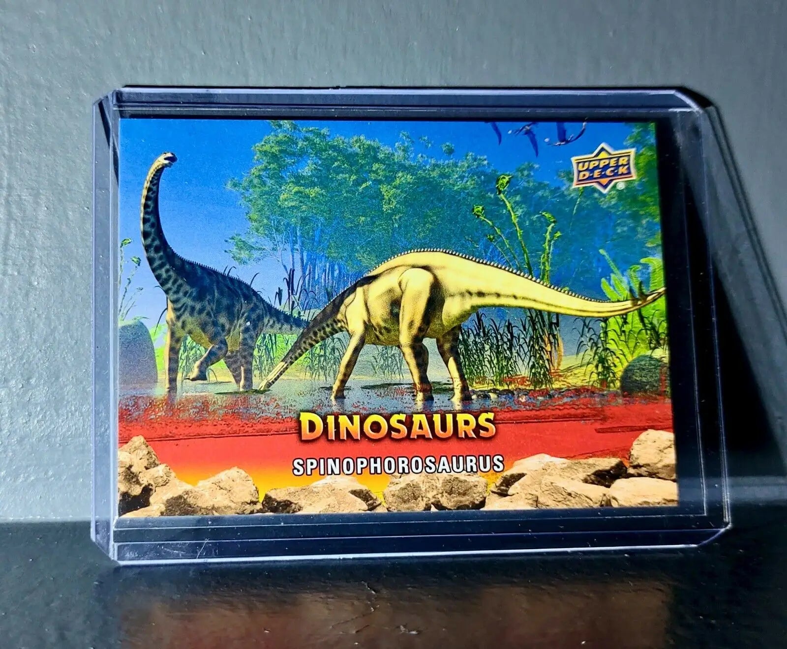 2015 Upper Deck Dinosaurs Spinophorosaurus Extinction Red Parallel #78 Card - Non-Sports Card Single