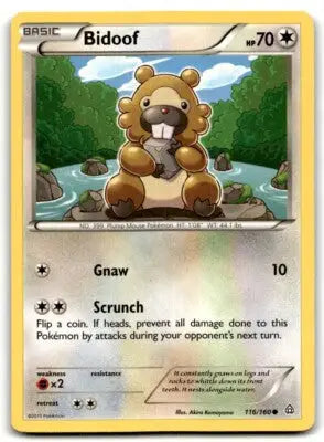 Primal Clash Bidoof Pokémon card 2015 XY Primal Clash Basic Common #116