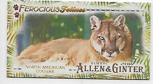 2016 Allen and Ginter Ferocious Felines Mini North American Cougar trading card highlighting ferocious felines mini series