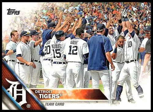 Detroit Tigers baseball card with original gloss from 2016 Topps NM-MT quality