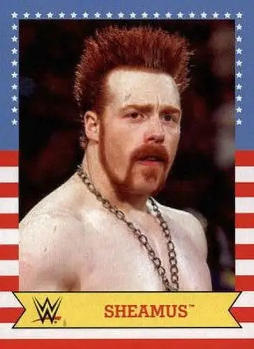 2017 Topps Heritage SummerSlam All-Stars #24 Sheamus NM-MT ID:6226 - Wrestling Card Single