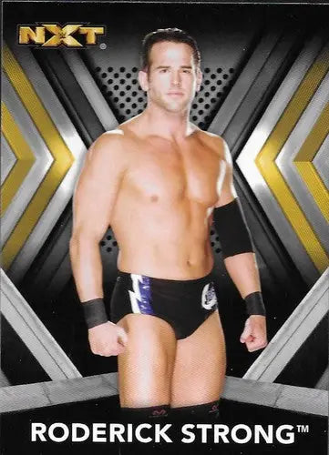 2017 Topps NXT #26 Roderick Strong NM-MT ID:3423 - Other
