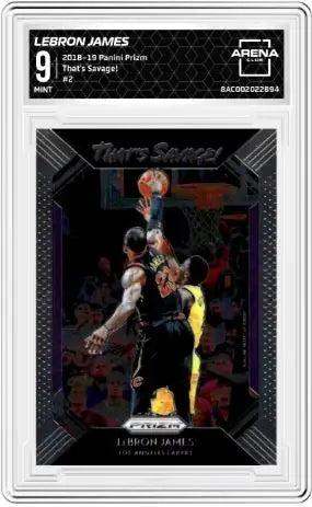 2018-19 Panini Prizm LeBron James #2 Basketball Arena Club 9