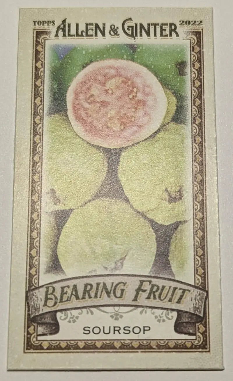 2022 Topps Allen Ginter Bearing Fruit Mini Soursop trading card with original gloss