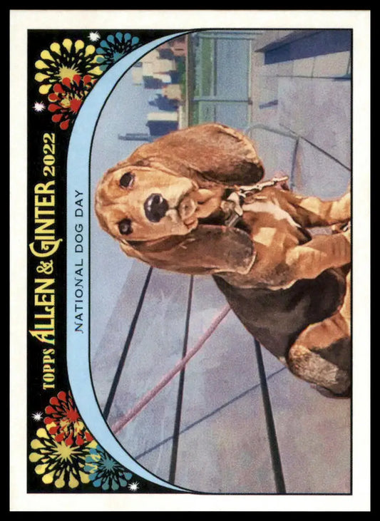 2022 Topps Allen & Ginter - It’s Your Special Day! Complete Your Set Choose Pick - Baseball Card Single