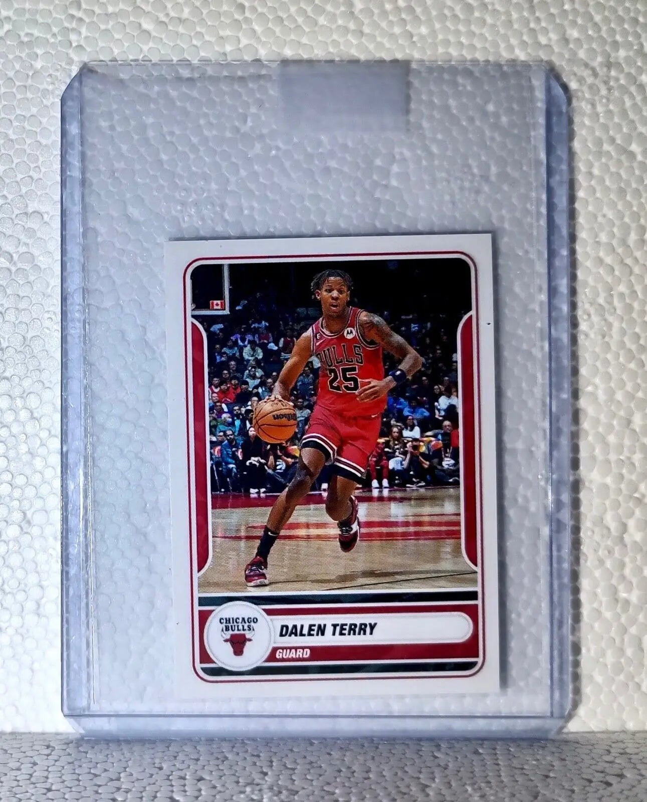 2023-24 Dalen Terry Panini NBA Basketball #163 Sticker Chicago Bulls - Basketball Card Single