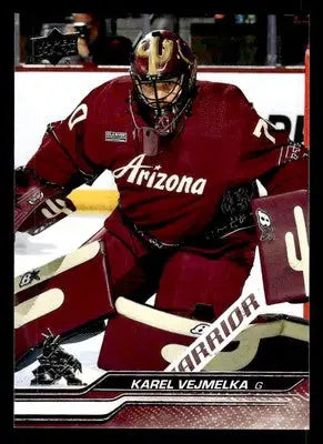2023-24 Upper Deck #263 Karel Vejmelka - Hockey Card Single
