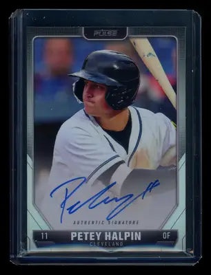 2024 Pulse Baseball Petey Halpin #A-PHA Authentic Signature Baseball - Sports Memorabilia