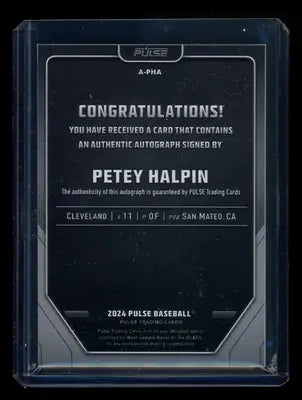 2024 Pulse Baseball Petey Halpin #A-PHA Authentic Signature Baseball - Sports Memorabilia