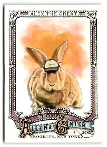 2025 Allen & Ginter #230 Alex the Great NM-MT ID:81566 - Baseball Card Single