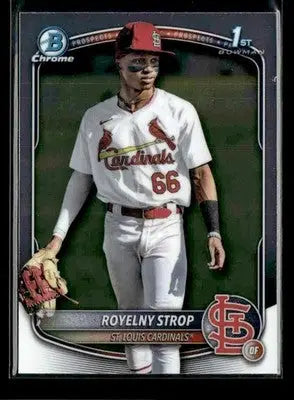 2025 Donruss Chrome #BCP-221 Royelny Strop - Baseball Card Single