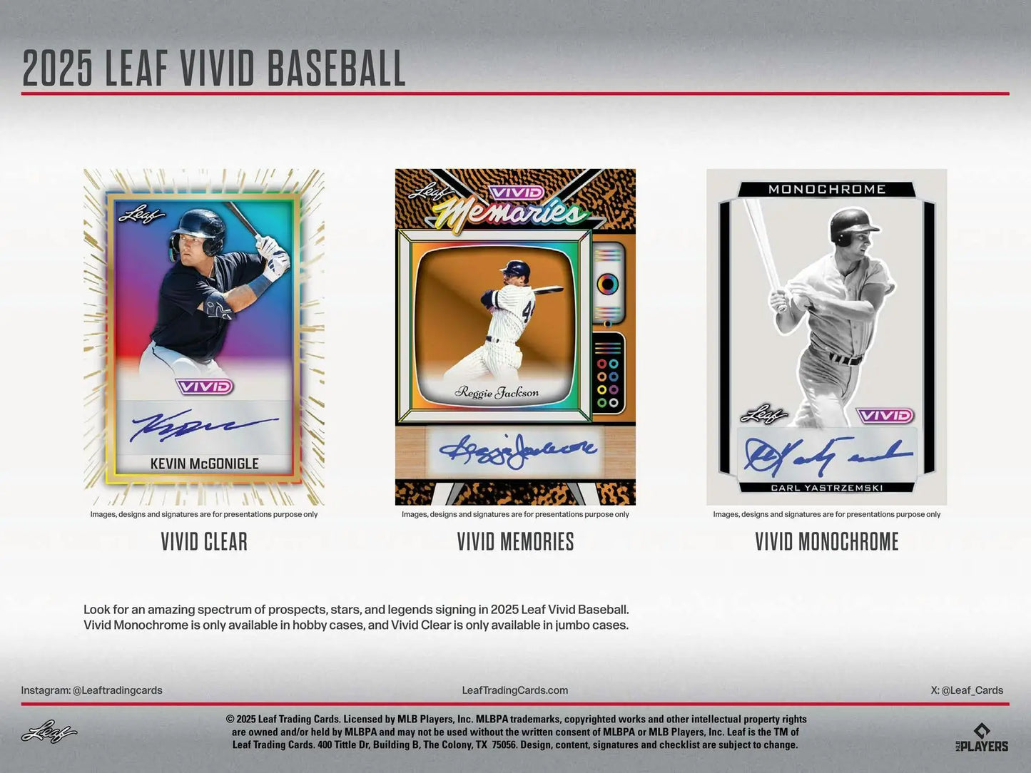 2025 Leaf Vivid Baseball Hobby Box | Columbia Sports Cards - Sport Card Hobby Boxes