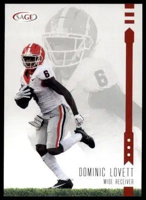 2025 SAGE HIT - Red Dominic Lovett 2 Detroit Lions