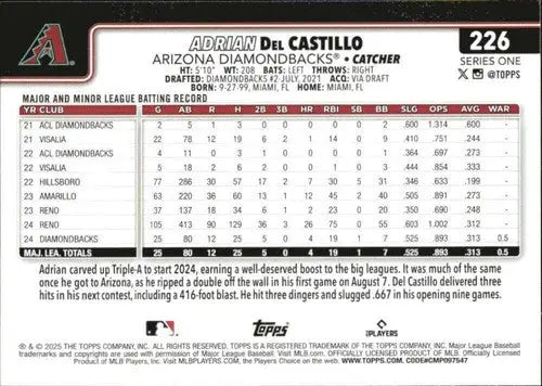 Original gloss baseball trading card of Adrian Del Castillo with batting record and bio