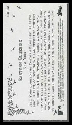 2025 Topps Allen & Ginter Mini State Birds #SB-32 Eastern Bluebird