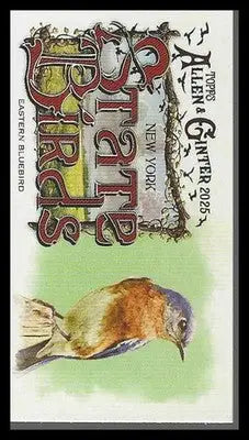 2025 Topps Allen & Ginter Mini State Birds #SB-32 Eastern Bluebird