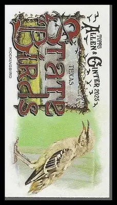 2025 Topps Allen & Ginter Mini State Birds #SB-42 Mockingbird - Baseball Card Single