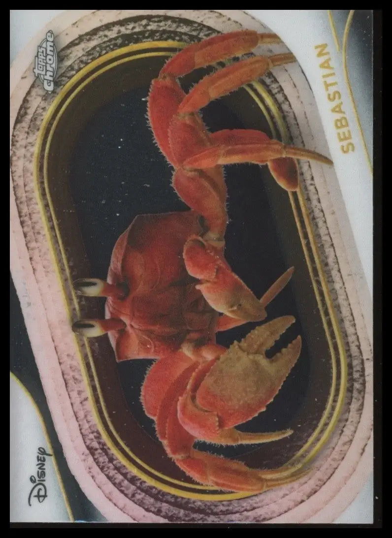 2025 Topps Chrome Disney Sebastian #64 The Little Mermaid Live Action Card - Non-Sports Card Single