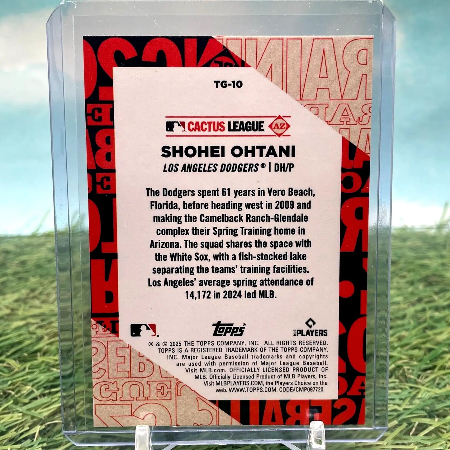 Shohei Ohtani baseball card from 2025 Topps Series 1 Cactus League collection